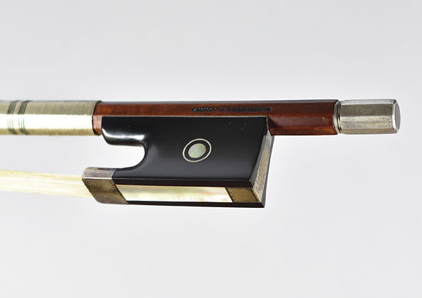 Frog by Eugène Sartory